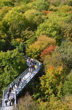 Baumkronenpfad treetop trail in autumn