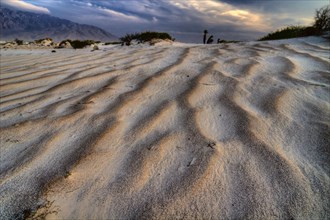 Gypsum dunes of Las Arenales in Cuatro Ciénegas Nature Reserve