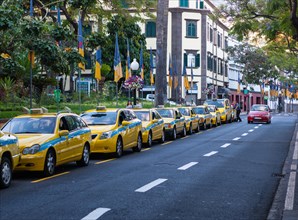 Taxis waiting in the Avenida Arriaga in the historic town centre of Funchal
