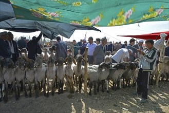 Boy stretching a sunshade at a Uighur animal market