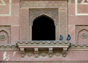 Pigeons on a balcony with decorative elements carved in sandstone