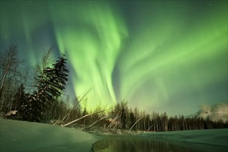 Aurora Borealis over the Portage River