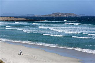 Man standing on the beach with his dogs