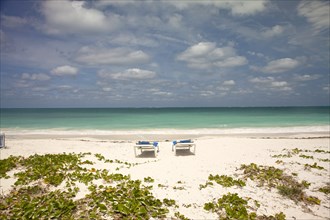 Sunloungers on the beach