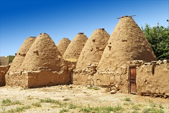 Typical mud houses in the old city of Harran