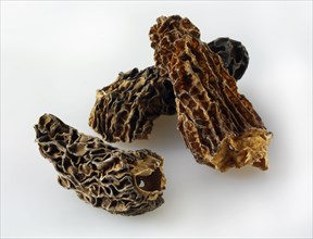 Dried Jumbo Morel mushrooms