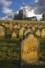 Whitby Abbey with grave stones in evening light