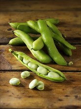 Fresh broad beans in their pods