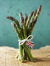 Bunch of English asparagus spears
