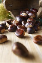 Organic chestnuts (Castanea sativa)