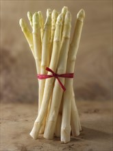 Bunch of white asparagus spears