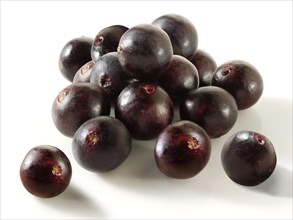 Fresh whole Acai berries (Euterpe oleracea)