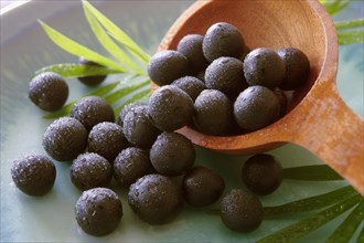 Fresh whole Acai berries (Euterpe oleracea)