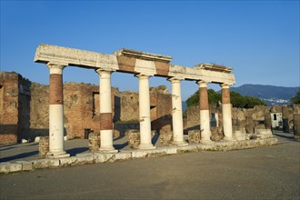 The Roman columns of the Building of Eumachia