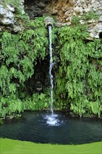 Gargoyle at the grotto of the water source