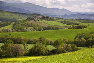 Hilly landscape of the Crete Senesi region