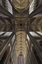 Vaulted ceiling