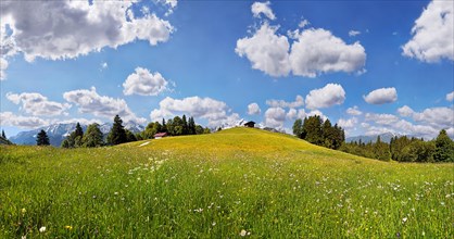 Lush green mountain meadow with white clouds against a blue sky at Eckbauer