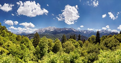 Wetterstein Mountains seen from Eckbauer Mountain