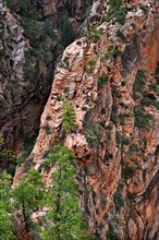 Hikers on the trail on the Angels Landing rock formation with sheer cliffs on either side