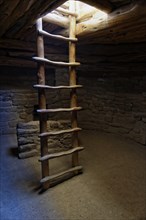 Ladder in a room of the Anasazi cliff dwelling Spruce Tree House
