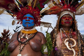 Members of a tribe in colourfully decorated costumes with face paint at the traditional sing-sing gathering