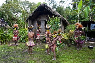 Tribe with colourful decorations and face paint is celebrating at the traditional Sing Sing gathering in the highlands