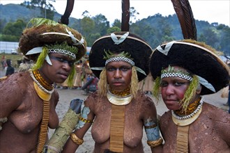 Decorated and painted women celebrating the traditional Sing Sing in the highlands