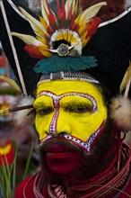 Colourfully decorated and painted man celebrating the traditional Sing Sing in the highlands