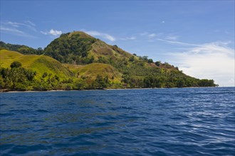 Coastal landscape