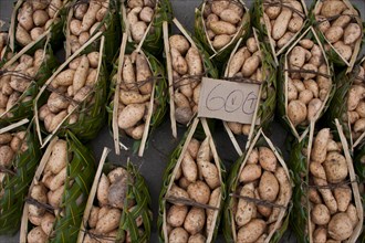 Potatoes for sale at the market