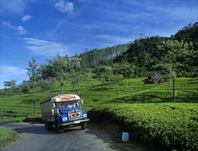 Bus driving through a tea plantation