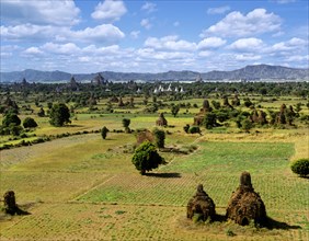 Field of ruins of Buddhist pagodas