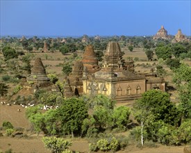 Field with ruins of Buddhist pagodas and temples