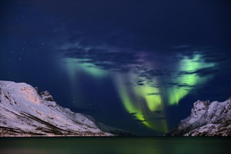Aurora over fjord with snowy mountains