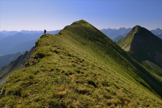 Mountaineer on the grassy summit ridge of Großer Krottenkopf Mountain