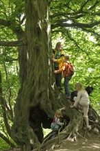 Children playing on an old tree