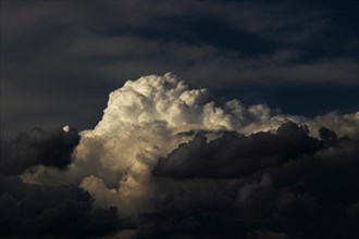 Cumulonimbus or storm clouds