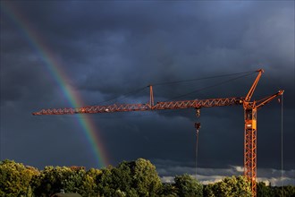 Crane in front of a rainbow