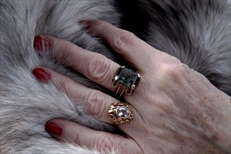 Hand of an old woman with red painted nails and rings lying on a fur coat