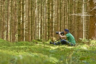 Photographer taking pictures in a spruce forest