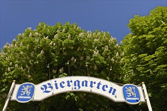 Entrance to a beer garden with a "Biergarten" sign and a blossoming chestnut tree