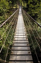 Suspension bridge along the Waldskulpturenweg forest sculpture trail