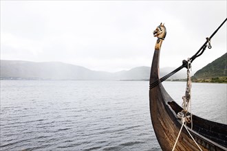 Viking ship with a golden dragon head
