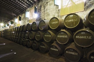 Oak barrels in a wine cellar in the Osborne Bodega