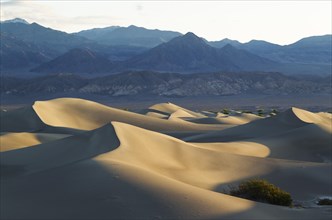 Mesquite Flat Sand Dunes and Amargosa Range in the early morning