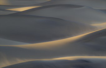 Mesquite Flat Sand Dunes on a windy morning