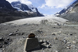 Glacial retreat of the Athabasca Glacier
