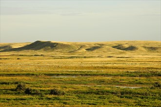 Gently rolling hills of the prairie landscape