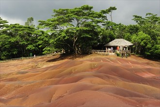 The coloured earth of Chamarel